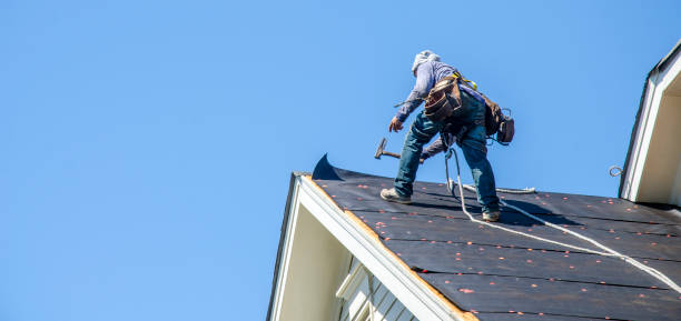 Best Gutter Installation and Roofing  in Valley Forge, TN